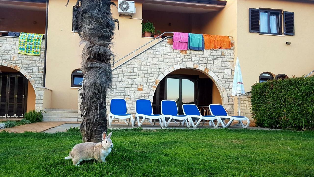 Holiday Home Marina Kaštelir Buitenkant foto